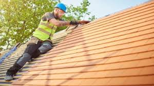 Best Roof Maintenance and Cleaning  in Lakeview, OH