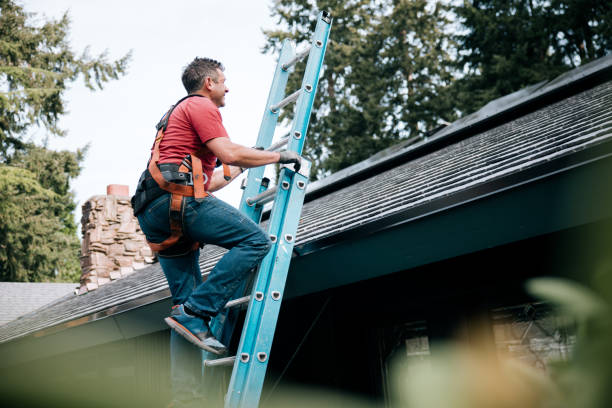 Professional Roofing service in Lakeview, OH