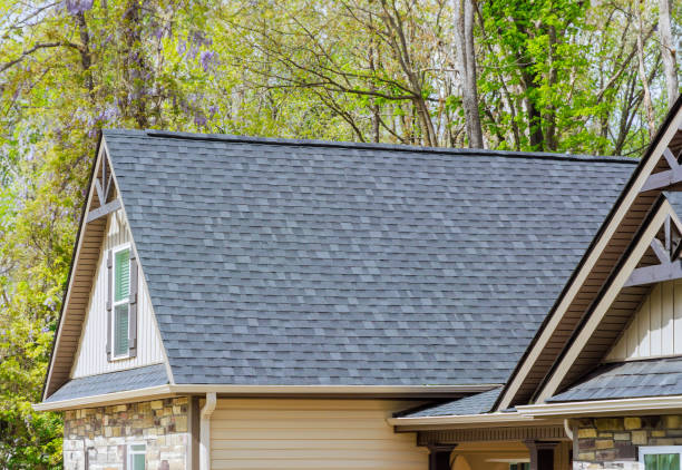 Steel Roofing in Lakeview, OH