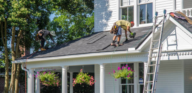 Best Storm Damage Roof Repair  in Lakeview, OH